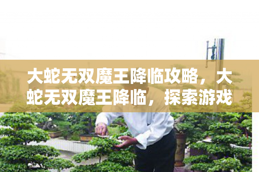 大蛇无双魔王降临攻略,大蛇无双魔王降临,探索游戏世界的无限可能 大蛇无双魔王降临攻略,大蛇无双魔王降临,探索游戏世界的无限可能