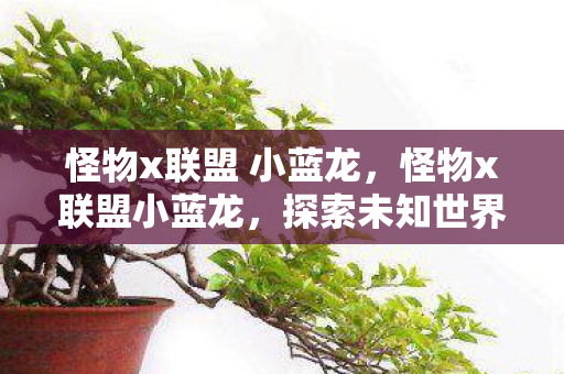 怪物x联盟 小蓝龙，怪物x联盟小蓝龙，探索未知世界的神秘伙伴