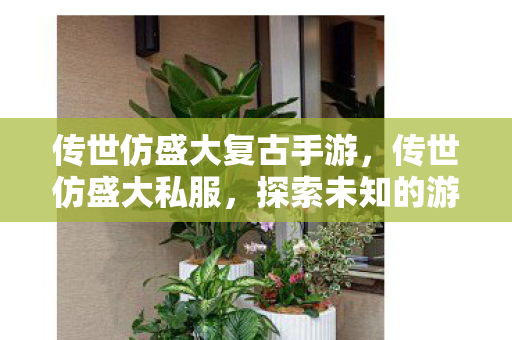 传世仿盛大复古手游,传世仿盛大私服,探索未知的游戏世界 传世仿盛大复古手游,传世仿盛大私服,探索未知的游戏世界
