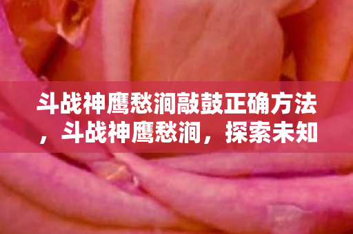 斗战神鹰愁涧敲鼓正确方法,斗战神鹰愁涧,探索未知世界的奇幻之旅 斗战神鹰愁涧敲鼓正确方法,斗战神鹰愁涧,探索未知世界的奇幻之旅