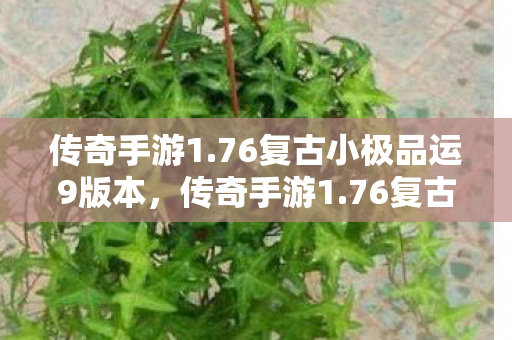 传奇手游1.76复古小极品运9版本,传奇手游1.76复古小极,重温经典,感受复古魅力 传奇手游1.76复古小极品运9版本,传奇手游1.76复古小极,重温经典,感受复古魅力