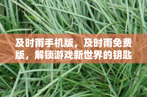 及时雨手机版,及时雨免费版,解锁游戏新世界的钥匙 及时雨手机版,及时雨免费版,解锁游戏新世界的钥匙