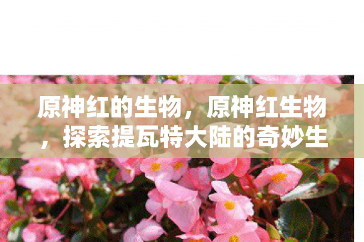 原神红的生物,原神红生物,探索提瓦特大陆的奇妙生物 原神红的生物,原神红生物,探索提瓦特大陆的奇妙生物