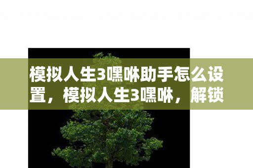 模拟人生3嘿咻助手怎么设置，模拟人生3嘿咻，解锁全新互动体验