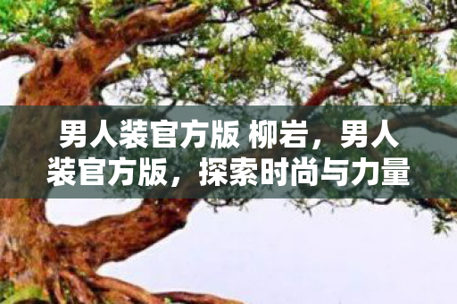 男人装官方版 柳岩,男人装官方版,探索时尚与力量的完美融合 男人装官方版 柳岩,男人装官方版,探索时尚与力量的完美融合