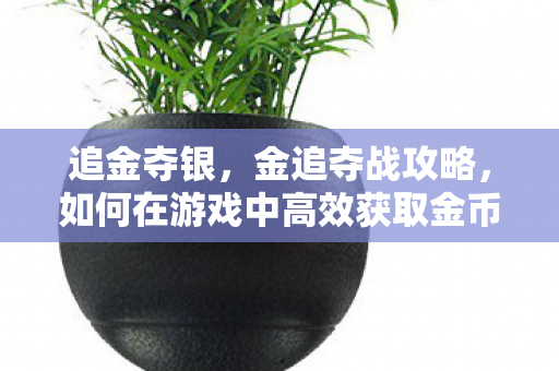 追金夺银,金追夺战攻略,如何在游戏中高效获取金币与珍贵道具 追金夺银,金追夺战攻略,如何在游戏中高效获取金币与珍贵道具