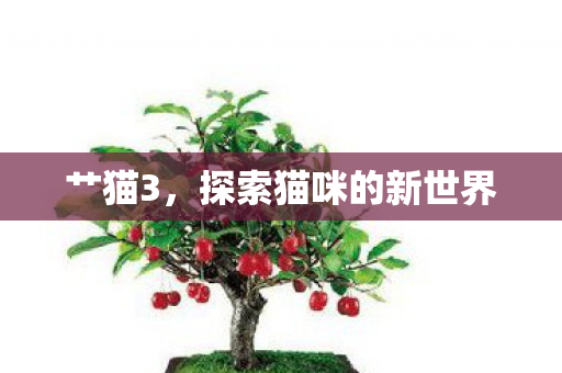 艹猫3,探索猫咪的新世界 艹猫3,探索猫咪的新世界