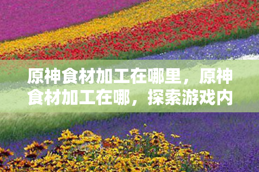 原神食材加工在哪里,原神食材加工在哪,探索游戏内的食材加工站 原神食材加工在哪里,原神食材加工在哪,探索游戏内的食材加工站