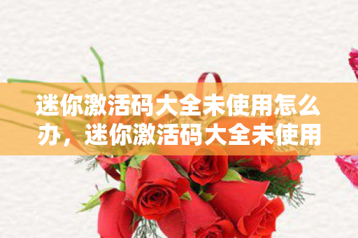 迷你激活码大全未使用怎么办,迷你激活码大全未使用 迷你激活码大全未使用怎么办,迷你激活码大全未使用