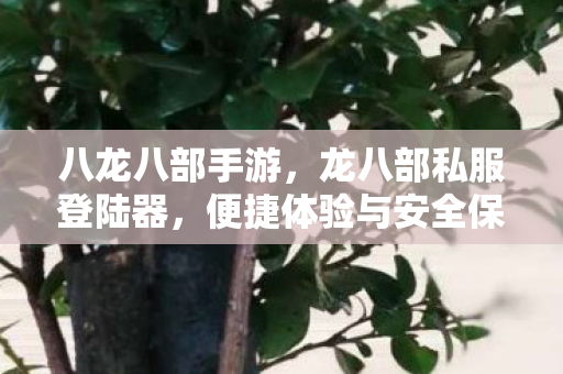 八龙八部手游,龙八部私服登陆器,便捷体验与安全保障的完美结合 八龙八部手游,龙八部私服登陆器,便捷体验与安全保障的完美结合