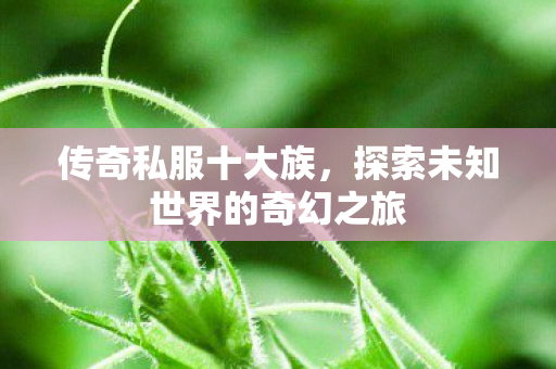 传奇私服十大族,探索未知世界的奇幻之旅 传奇私服十大族,探索未知世界的奇幻之旅
