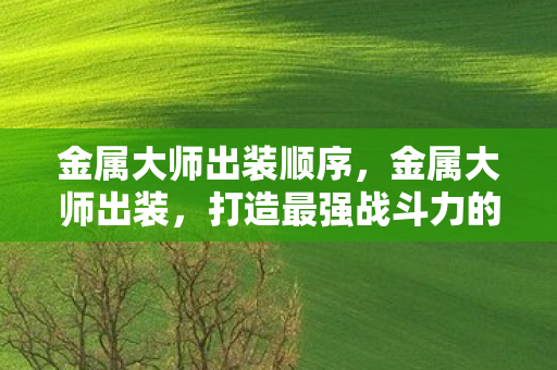 金属大师出装顺序，金属大师出装，打造最强战斗力的关键