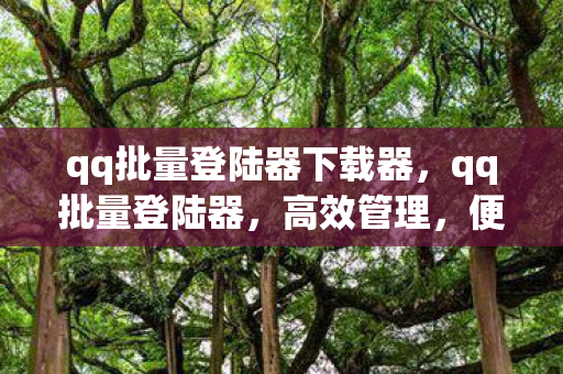 qq批量登陆器下载器,qq批量登陆器,高效管理,便捷操作 qq批量登陆器下载器,qq批量登陆器,高效管理,便捷操作