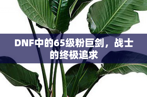 DNF中的65级粉巨剑,战士的终极追求 DNF中的65级粉巨剑,战士的终极追求