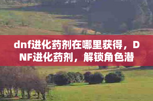 dnf进化药剂在哪里获得,DNF进化药剂,解锁角色潜力的神秘钥匙 dnf进化药剂在哪里获得,DNF进化药剂,解锁角色潜力的神秘钥匙
