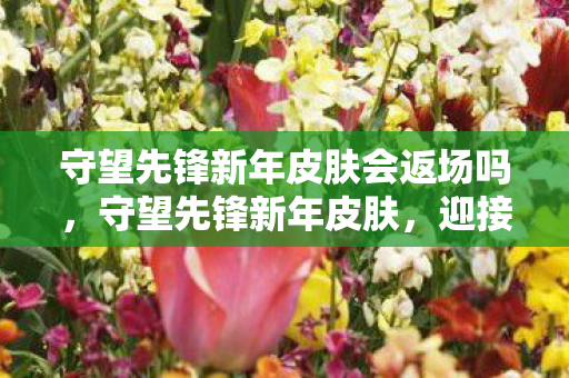 守望先锋新年皮肤会返场吗，守望先锋新年皮肤，迎接新春，共赏限定美