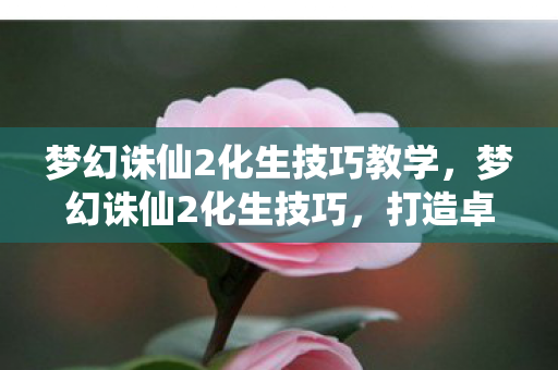 梦幻诛仙2化生技巧教学，梦幻诛仙2化生技巧，打造卓越宠物的秘诀
