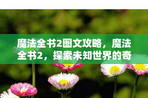魔法全书2图文攻略,魔法全书2,探索未知世界的奇幻之旅 魔法全书2图文攻略,魔法全书2,探索未知世界的奇幻之旅