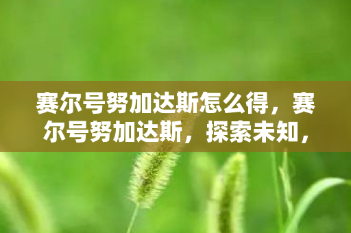 赛尔号努加达斯怎么得,赛尔号努加达斯,探索未知,挑战极限 赛尔号努加达斯怎么得,赛尔号努加达斯,探索未知,挑战极限