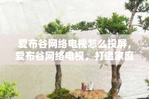 爱布谷网络电视怎么投屏，爱布谷网络电视，打造家庭娱乐新体验