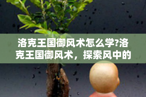 洛克王国御风术怎么学?洛克王国御风术，探索风中的魔法奥秘