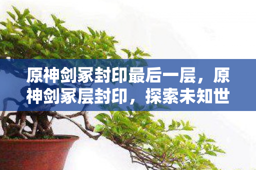 原神剑冢封印最后一层,原神剑冢层封印,探索未知世界的神秘之旅 原神剑冢封印最后一层,原神剑冢层封印,探索未知世界的神秘之旅