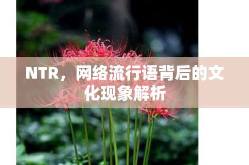 NTR,网络流行语背后的文化现象解析 NTR,网络流行语背后的文化现象解析