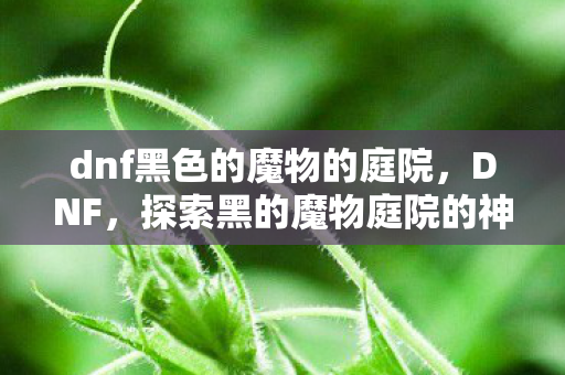 dnf黑色的魔物的庭院,DNF,探索黑的魔物庭院的神秘之旅 dnf黑色的魔物的庭院,DNF,探索黑的魔物庭院的神秘之旅