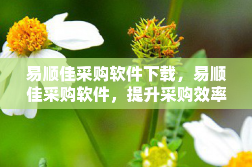 易顺佳采购软件下载,易顺佳采购软件,提升采购效率,优化企业运营 易顺佳采购软件下载,易顺佳采购软件,提升采购效率,优化企业运营