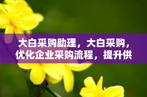 大白采购助理,大白采购,优化企业采购流程,提升供应链效率 大白采购助理,大白采购,优化企业采购流程,提升供应链效率