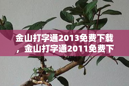金山打字通2013免费下载，金山打字通2011免费下载，提升打字速度，轻松应对日常办公