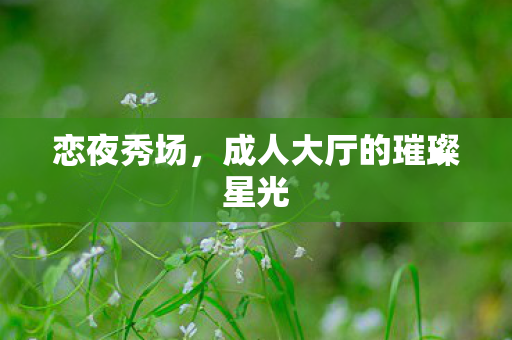 恋夜秀场，成人大厅的璀璨星光