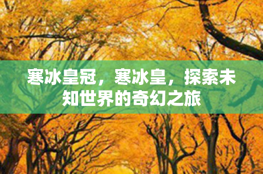 寒冰皇冠,寒冰皇,探索未知世界的奇幻之旅 寒冰皇冠,寒冰皇,探索未知世界的奇幻之旅