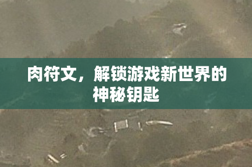 肉符文,解锁游戏新世界的神秘钥匙 肉符文,解锁游戏新世界的神秘钥匙