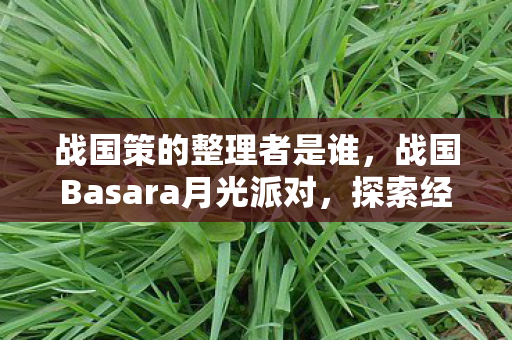 战国策的整理者是谁,战国Basara月光派对,探索经典与创新的融合 战国策的整理者是谁,战国Basara月光派对,探索经典与创新的融合