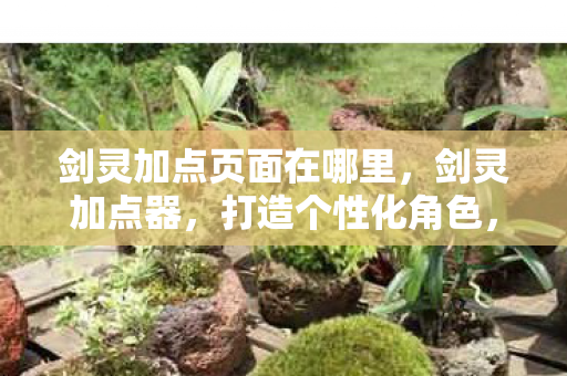 剑灵加点页面在哪里，剑灵加点器，打造个性化角色，提升游戏体验
