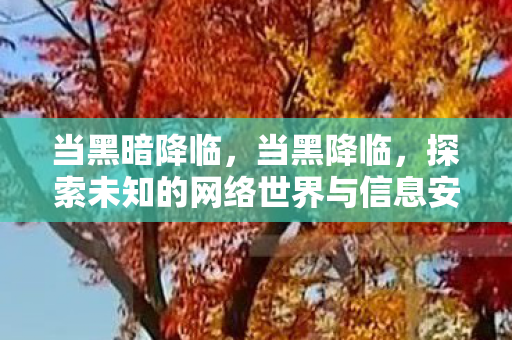 当黑暗降临,当黑降临,探索未知的网络世界与信息安全挑战 当黑暗降临,当黑降临,探索未知的网络世界与信息安全挑战