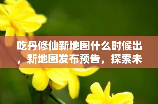 吃丹修仙新地图什么时候出，新地图发布预告，探索未知世界的神秘之旅