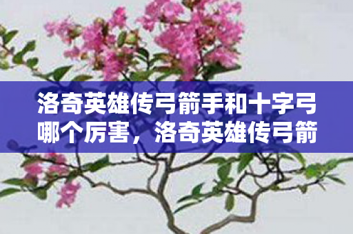 洛奇英雄传弓箭手和十字弓哪个厉害，洛奇英雄传弓箭手，精准与速度的完美结合