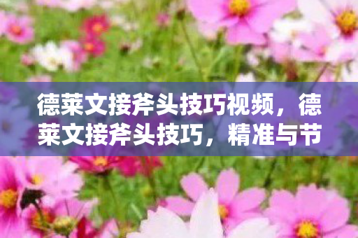 德莱文接斧头技巧视频，德莱文接斧头技巧，精准与节奏的完美融合