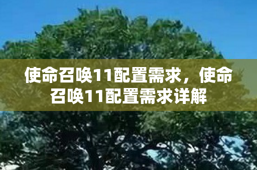 使命召唤11配置需求,使命召唤11配置需求详解 使命召唤11配置需求,使命召唤11配置需求详解