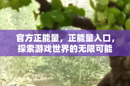官方正能量,正能量入口,探索游戏世界的无限可能 官方正能量,正能量入口,探索游戏世界的无限可能