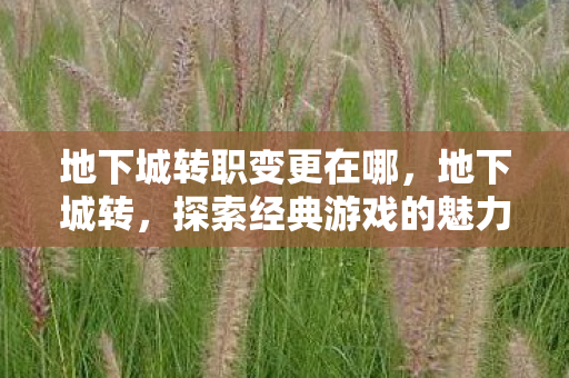 地下城转职变更在哪,地下城转,探索经典游戏的魅力与未来 地下城转职变更在哪,地下城转,探索经典游戏的魅力与未来