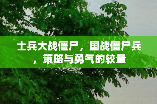 士兵大战僵尸，国战僵尸兵，策略与勇气的较量