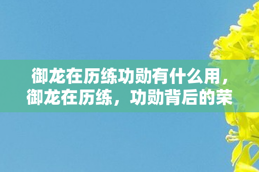 御龙在历练功勋有什么用,御龙在历练,功勋背后的荣耀与挑战 御龙在历练功勋有什么用,御龙在历练,功勋背后的荣耀与挑战
