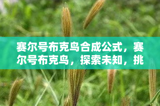赛尔号布克鸟合成公式，赛尔号布克鸟，探索未知，挑战极限