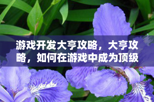 游戏开发大亨攻略，大亨攻略，如何在游戏中成为顶级玩家