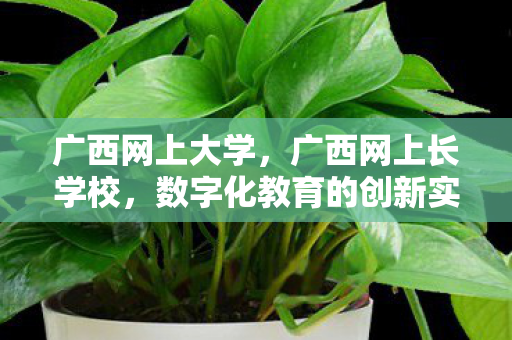 广西网上大学,广西网上长学校,数字化教育的创新实践 广西网上大学,广西网上长学校,数字化教育的创新实践
