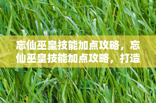 忘仙巫皇技能加点攻略，忘仙巫皇技能加点攻略，打造最强巫皇