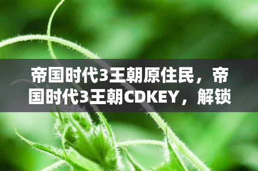 帝国时代3王朝原住民,帝国时代3王朝CDKEY,解锁经典战役的密钥 帝国时代3王朝原住民,帝国时代3王朝CDKEY,解锁经典战役的密钥